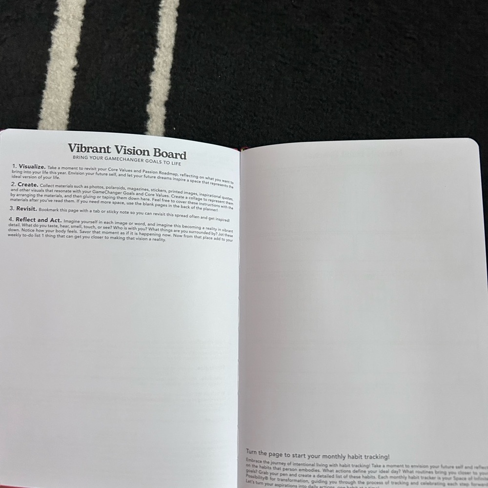 Passion Planner - Year of the Horse Red - Picture 7 of 14